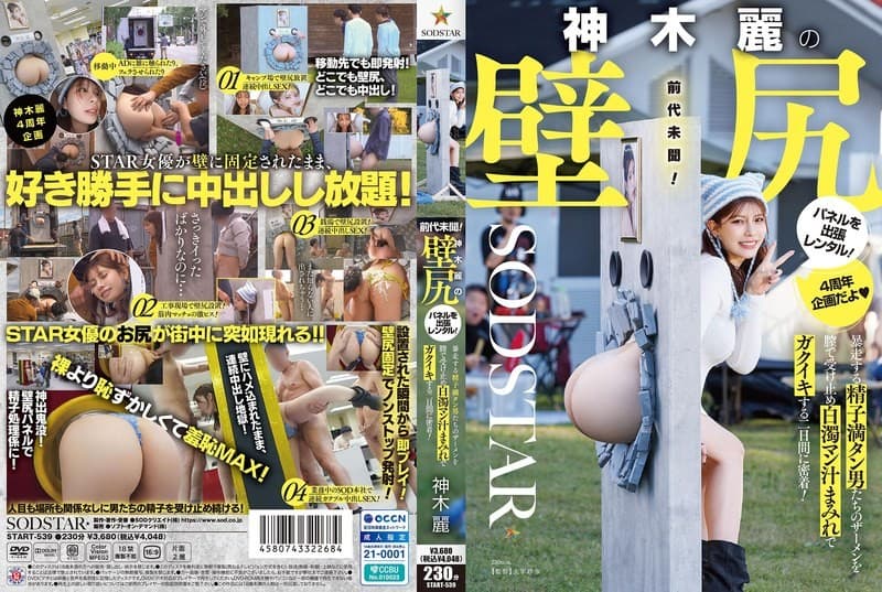START-539 ซับไทย เรย์กามิก้นเด้งดึ๋งเชิญวิ่งเย้ยยุทธจักร Rei Kamiki (เร คามิกิ)